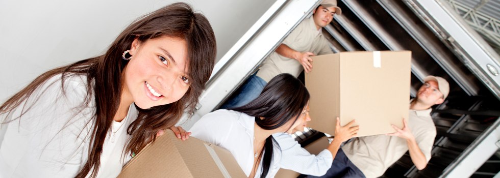Professional Removalists Woronora Heights